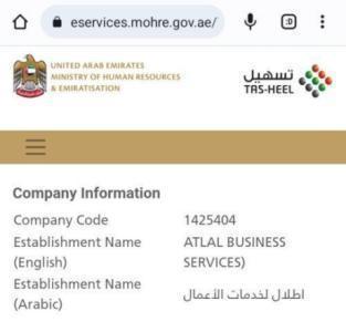 Business Setup Dubai Mainland