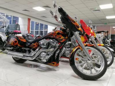 Big Dog Model Bull Dog USA