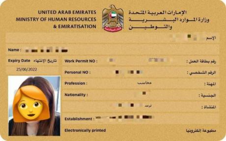 affordable visa inside U.A.E