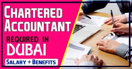 Chartered Accountant Required in Dubai