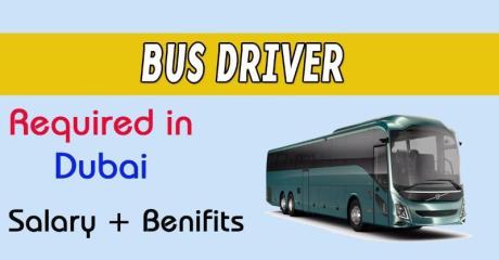 Bus Driver Required in Dubai