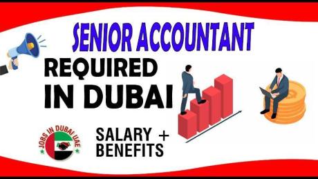 Senior Accountant Required in Dubai