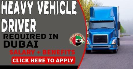 Heavy Vehicle Driver Required in Dubai