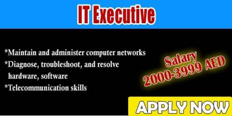 IT Executive