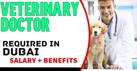 Veterinary Doctor Required in Dubai -