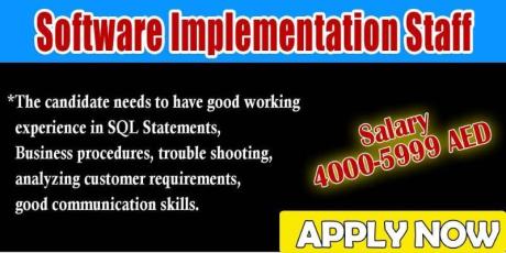Software Implementation Staff