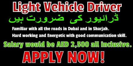 Light Vehicle Driver