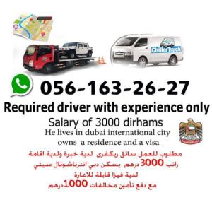 light driver job