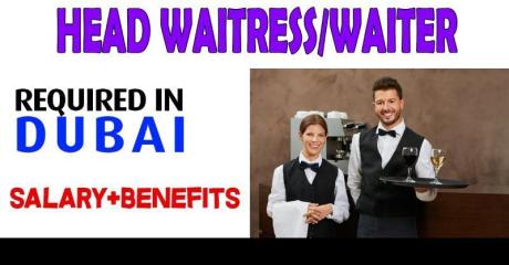 Head Waitress/Waiter Required in Dubai