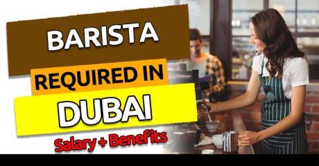 Barista Required in Dubai