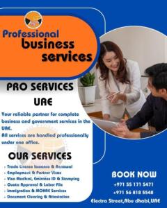 Professional PRO and UAE government documentation services