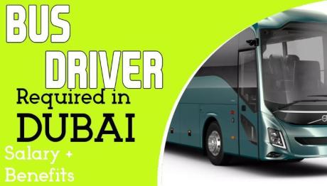 Bus Driver Required in Dubai