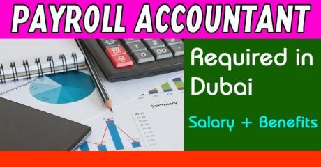 Payroll Accountant Required in Dubai