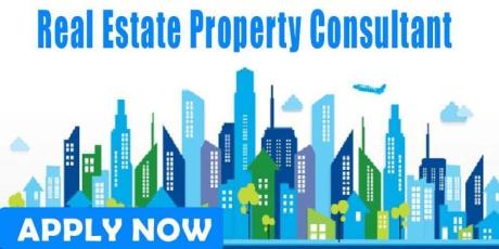 Real Estate Property Consultant