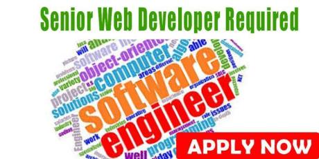 Senior Web Developer Required