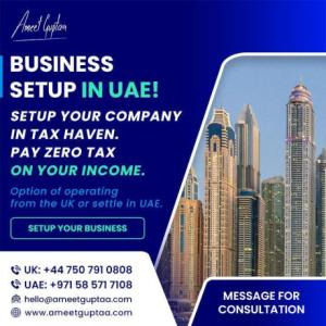 Business Setup Services in UAE