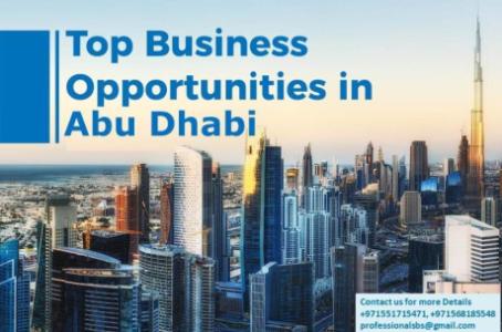 Business Setup and Company Registration in Abu Dhabi UAE