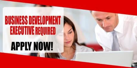 BUSINESS DEVELOPMENT EXECUTIVE REQUIRE IN DUBAI