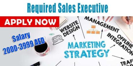 Required Sales Executive