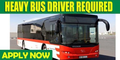 HEAVY BUS DRIVER REQUIRED