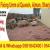 Paving Floor Interlock Fixing Applicator Ajman Sharjah Dubai