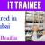 IT Trainee Required in Dubai