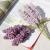 Lavender Artificial Flower in UAE - Exhale Home