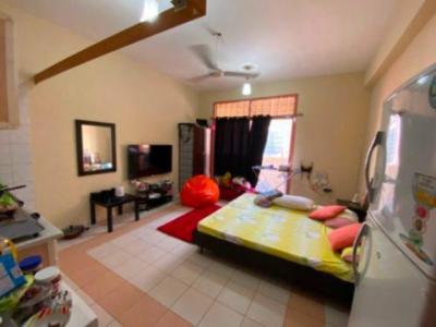 Furnished Big Studio Available for family