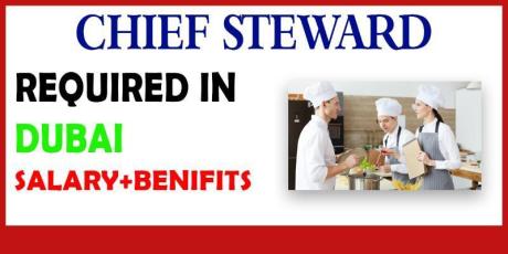 Chief Steward Required in Dubai