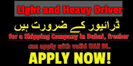 Light and Heavy Driver