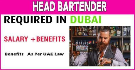 Head Bartender Required in Dubai
