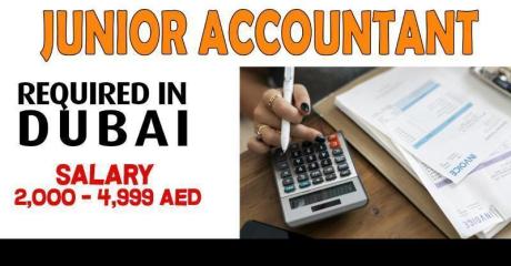 Junior Accountant Required in Dubai