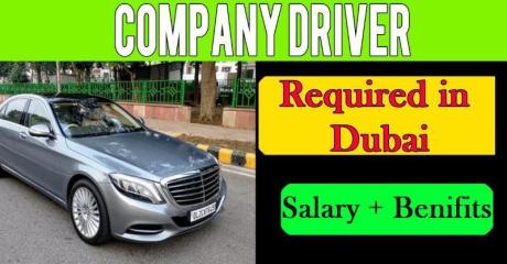 Company Driver Required in Dubai UAE