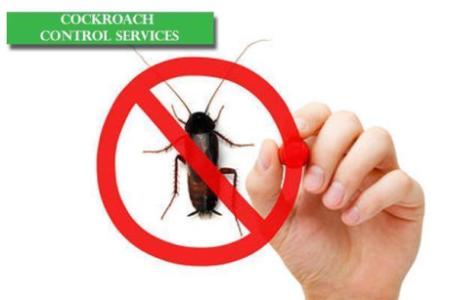# No.1 Disinfection & Pest Service - 10% Discount