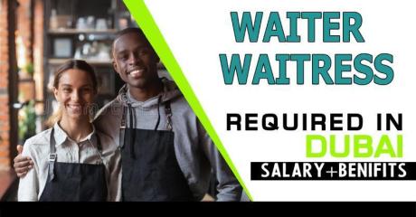 Waiter / Waitress Required in Dubai