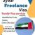 FREELANCE VISA