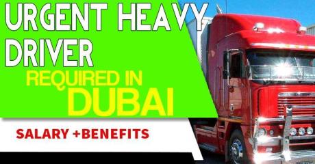Urgent Heavy Driver Required in Dubai -