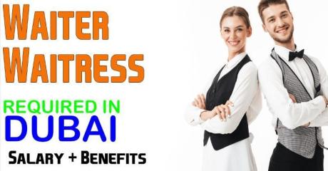 Waiter / Waitress Required in Dubai -