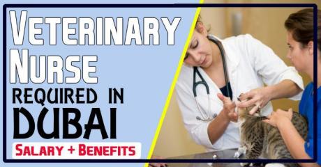 Veterinary Nurse Required in Dubai