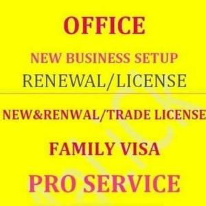 New business setup, tuteeq  , ejari,trade licence