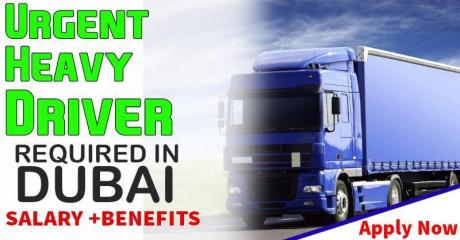 Urgent Heavy Driver Required in Dubai