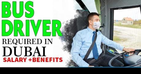 Bus Driver Required in Dubai