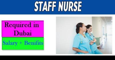 Staff Nurse Required in Dubai