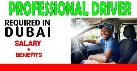 Professional Driver Required in Dubai