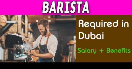 Barista Required in Dubai