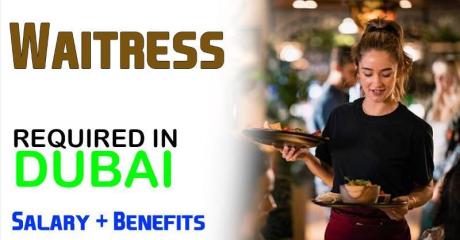 Waitress Required in Dubai