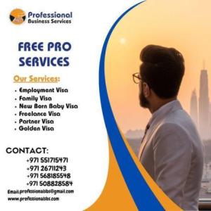 GET YOUR FREELANCE VISA EASILY AND AFFORDABLY- REACH OUT TO US NOW!