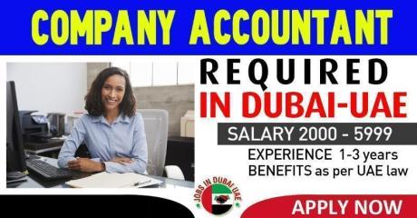 COMPANY ACCOUNTANT REQUIRED IN DUBAI