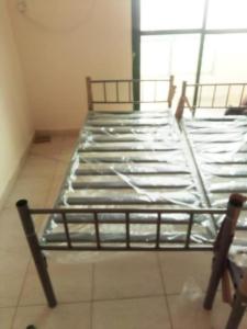 New brand single bed size 190x90