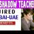 Shadow Teacher Required in Dubai